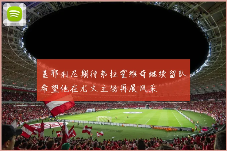 基耶利尼期待弗拉霍维奇继续留队希望他在尤文主场再展风采